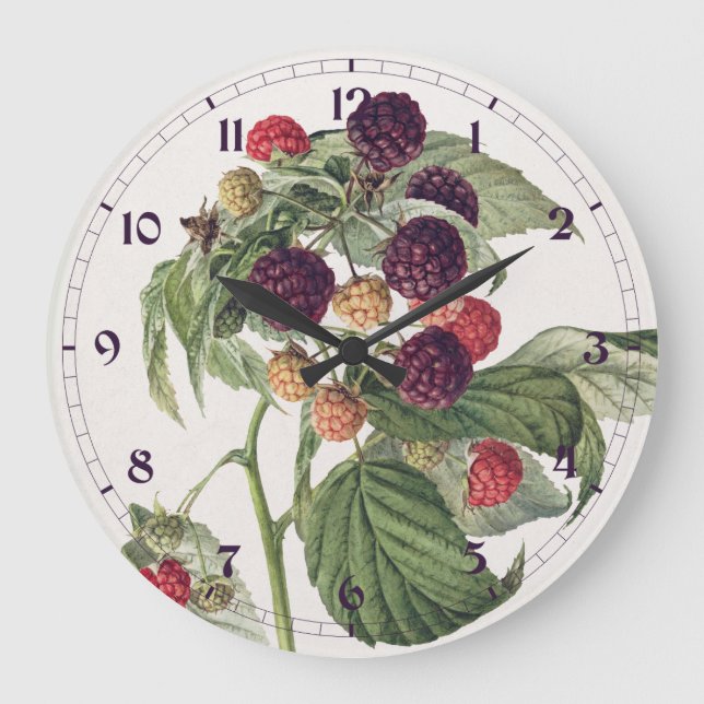Relógio Grande Ilustração de Fruta de framboesa roxa-do-campo (Frente)