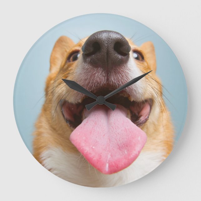 Relógio Grande Imagens Getty | Corgi muito feliz (Frente)