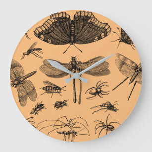 Relógio Grande insetos-animais-linhagem-borboleta