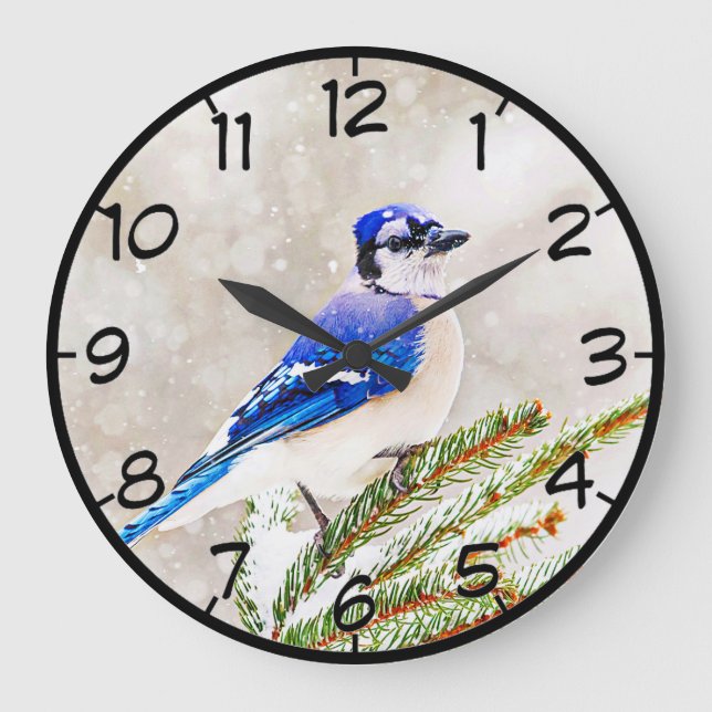Relógio Grande Jay azul em um pinheiro com neve (Frente)