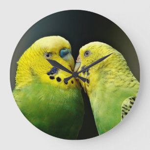 Relógio Grande Kissing Budget Parrot Bird