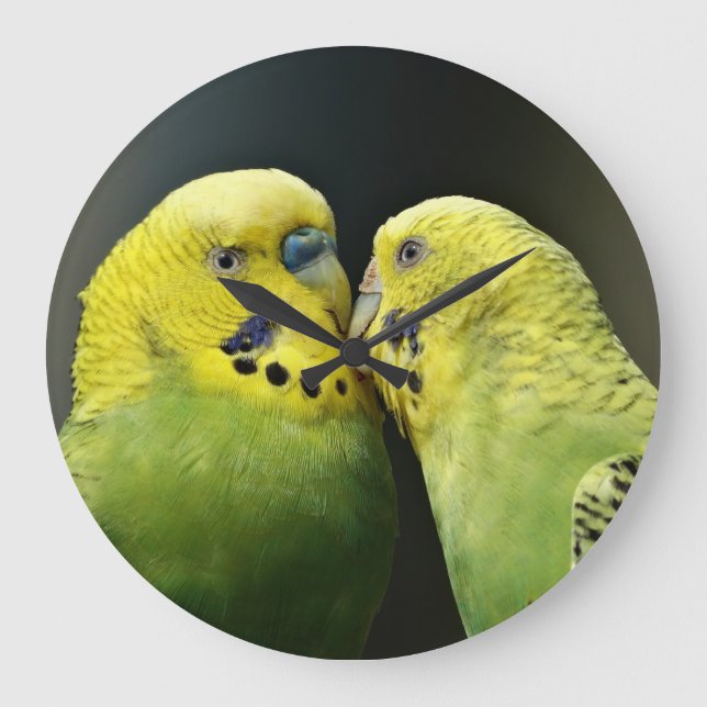 Relógio Grande Kissing Budget Parrot Bird (Frente)