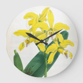 Relógio Grande Laelia Xanthina Vintage Orquídea Amarela Lindenia