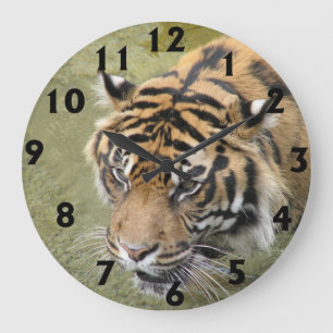 Relógio Grande Large Tiger Clock