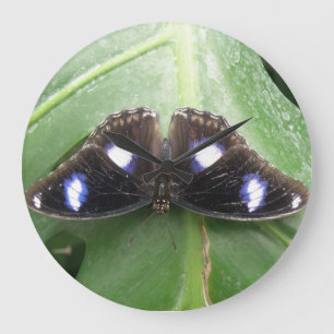 Relógio Grande Linda parede de borboleta azul tocada