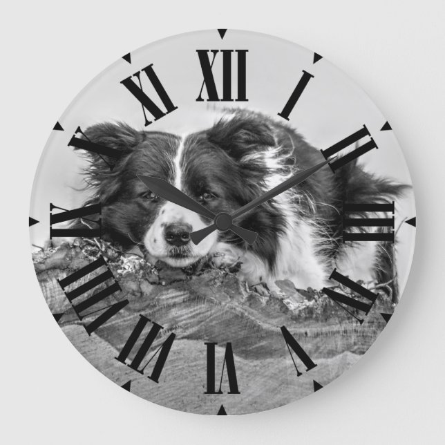 Relógio Grande Lindo Cão Border Collie (Frente)