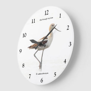 Relógio Grande Lindo pássaro americano Avocet passeando pela prai
