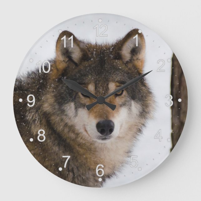 Relógio Grande Lobo-cinza europeu (Frente)