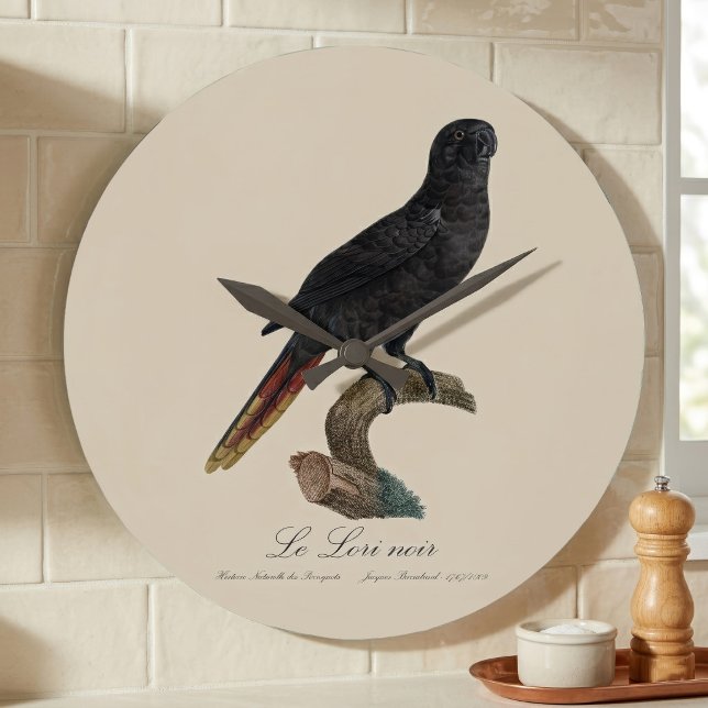 Relógio Grande Lório-preto ou Lório-de-bico-vermelho, Chalcopsitt (Black Lory or Red-Quilled Lory, Chalcopsitta atra. Large Clock)