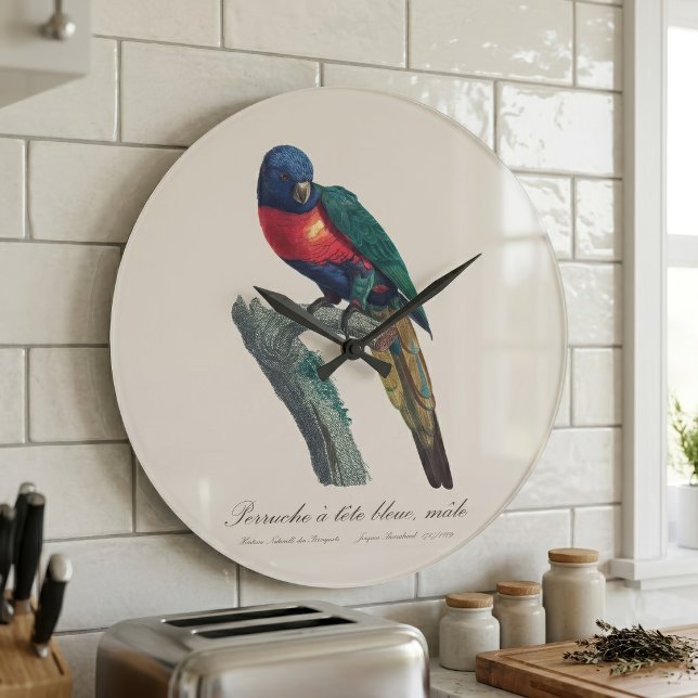Relógio Grande Loriqueet Arco-íris Macho, Trichoglossus Moluccanu (Rainbow Lorikeet Male, Trichoglossus Moluccanus. Large Clock)