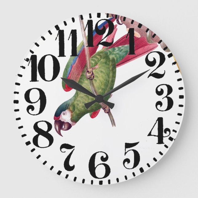 Relógio Grande Macaw Tropical Parrot Bird Big Number Wall Clock (Frente)