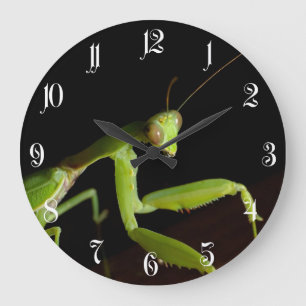 Relógio Grande Mantid Praying
