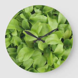 Relógio Grande Marigold Seedlings Wall Clock