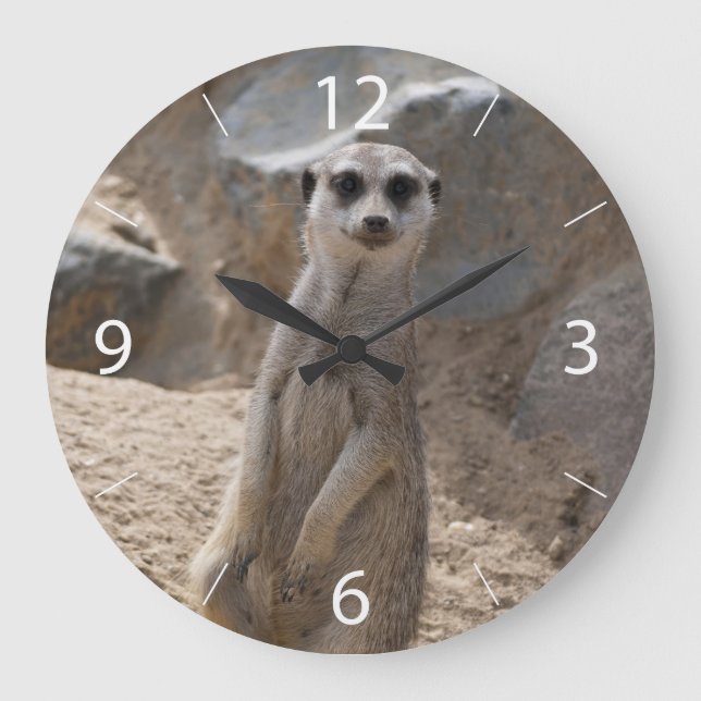 Relógio Grande Meerkat Incrível (Frente)