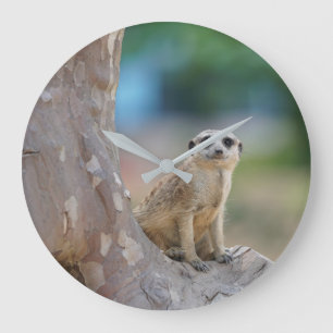 Relógio Grande Meerkat Sat na árvore