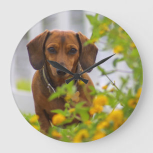 Relógio Grande Mini pulso de disparo vermelho do Dachshund