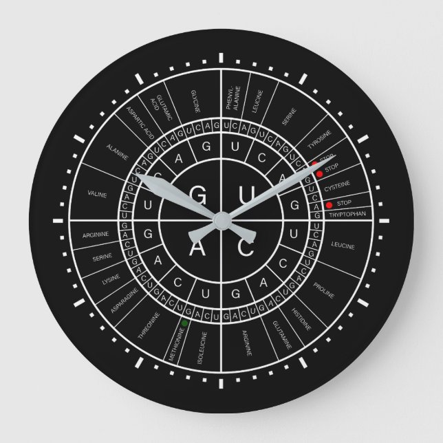 Relógio Grande mRNA à RODA do CODON do ÁCIDO AMINADO (Frente)