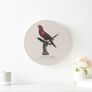 Relógio Grande O Lori-ecaille / Lori-de-listras-azuis