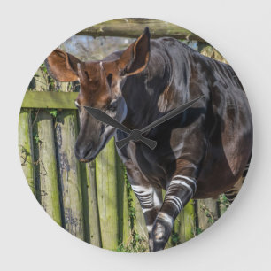 Relógio Grande Okapi no pulso de disparo de parede do jardim