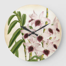 Relógio Grande Orquídea Dendrobrium Ainsworth Vintage Lindenia