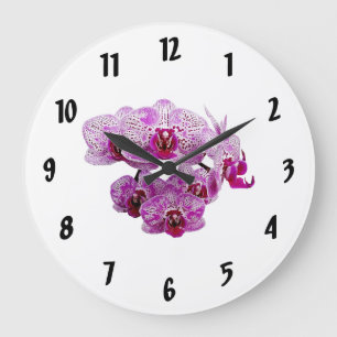Relógio Grande Orquídea Feliz de Rapariga OX Phalaenopsis