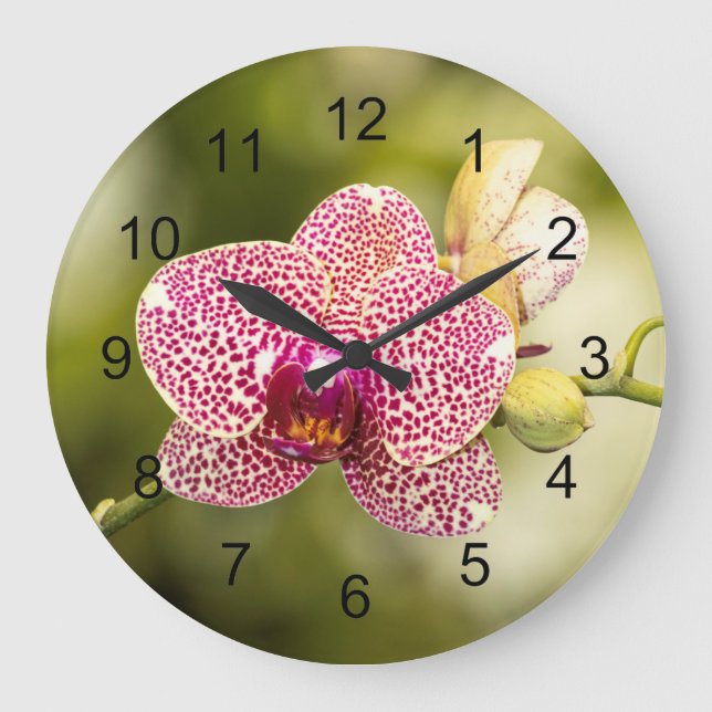 Relógio Grande Orquídea rosa  (Frente)