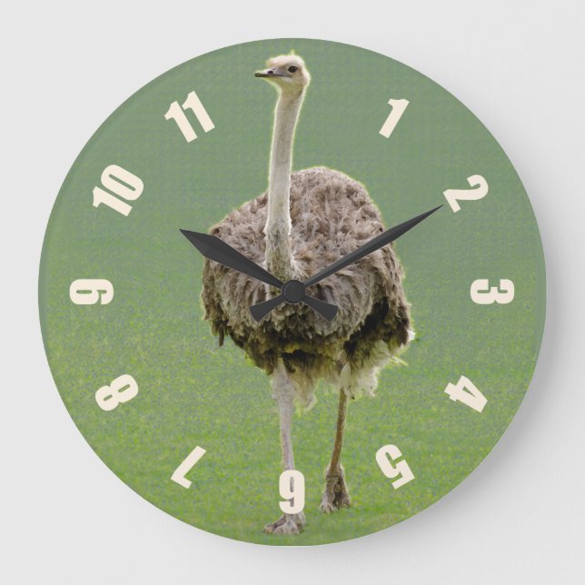 Relógio Grande Ostrich (Frente)