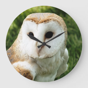 RELÓGIO GRANDE OWLS