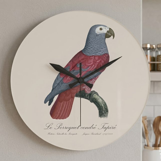 Relógio Grande Papagaio Cinzento Africano Fator Vermelho Psittacu (African Grey Parrot Red Factor Psittacus Erithacus. Large Clock)