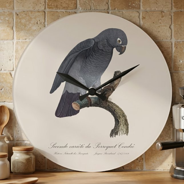 Relógio Grande Papagaio-Cinzento-de-Timneh, Psittacus Timneh (Timneh African Grey Parrot, Psittacus Timneh. Large Clock )