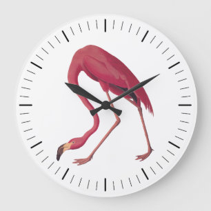 Relógio Grande Pássaro de Arte Cinzento Americano Flamingo Audubo