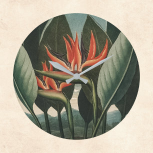 Relógio Grande Pássaro do Templo de Vintagem do Paraíso da Flor