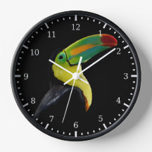 Pássaro Tropical Negro Amarelo Verde Colorido