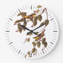 Pássaro Warbler Carbonado de Audubon na Árvore de 