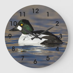 Relógio Grande Pato de Goldeneye masculino