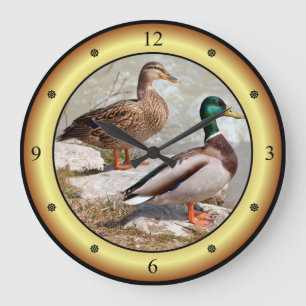 Relógio Grande Patos Selvagens ~ Anas platyrhynchos ~