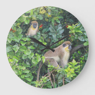 Relógio Grande Paul McGehee "que Monkeying ao redor" o pulso de