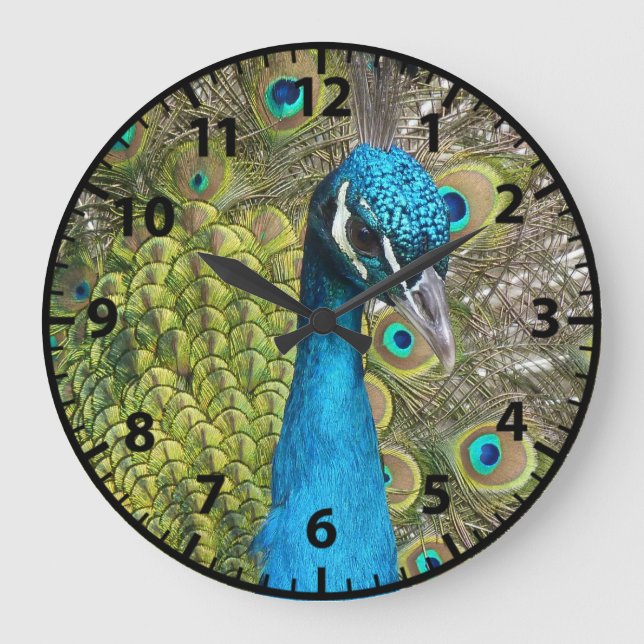 Relógio Grande Peacock Pássaros Pássaros Clock (Frente)