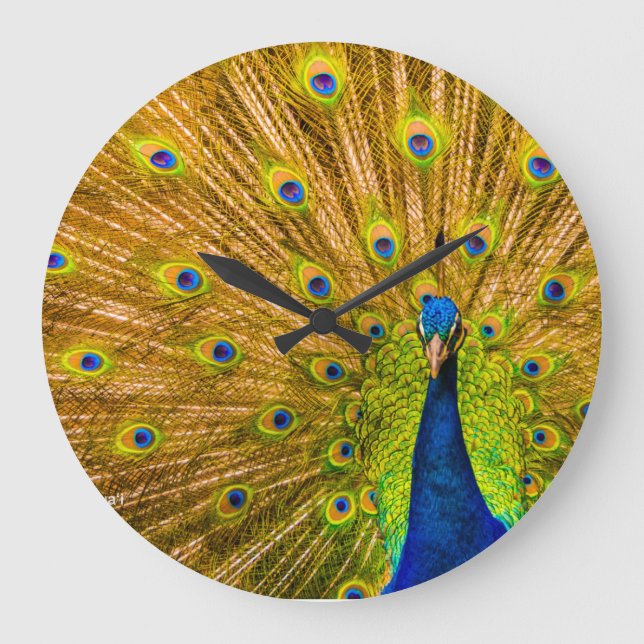 Relógio Grande Peacock, Silver Falls, Kauai, Havaí (Frente)