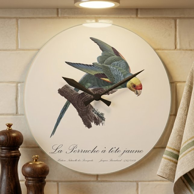 Relógio Grande Periquito-da-carolina, Conuropsis carolinensis (Carolina parakeet, Conuropsis carolinensis. Large Clock)