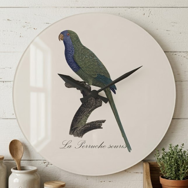 Relógio Grande Periquito-verde ou Caturrita, Myiopsitta Monachus (Monk Parakeet or Monk Parrot, Myiopsitta Monachus. Large Clock)