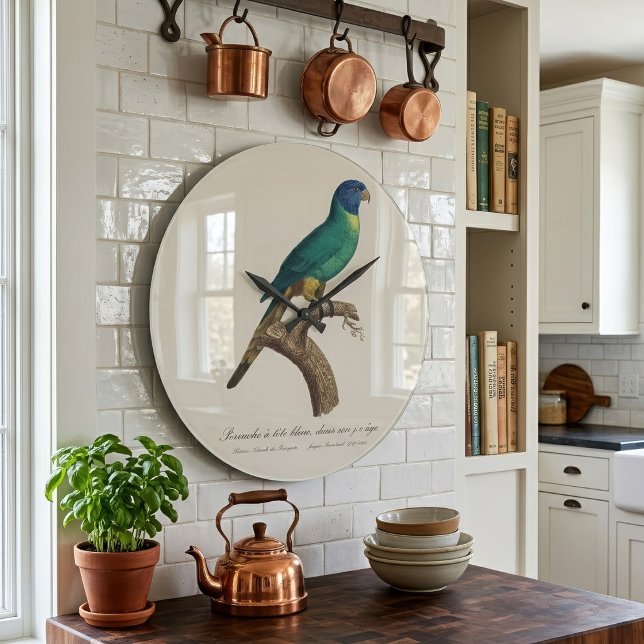 Relógio Grande Perruche a tete bleue/Rainbow lorikeet, juvenil (Perruche a tete bleue / Rainbow lorikeet, juvenile. Large Clock)