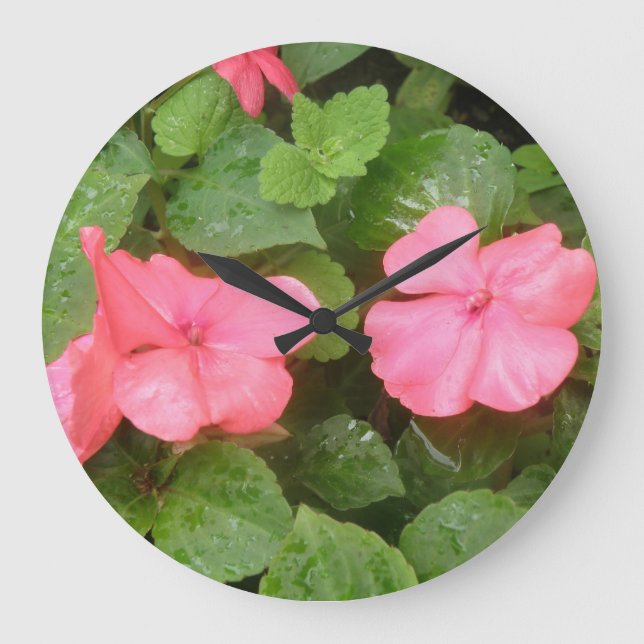 Relógio Grande Pink Impatiens Flowens Wall Clock (Frente)
