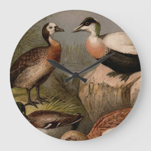 Relógio Grande Pintura colorida de patos