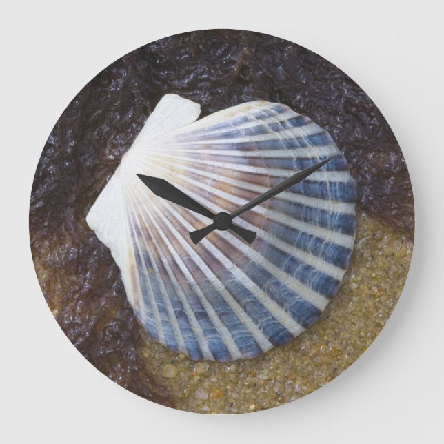 Relógio Grande Piscina maré (Frente)