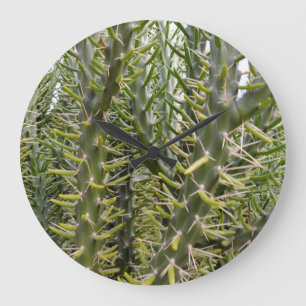 Relógio Grande Planta De Cactus Verde,