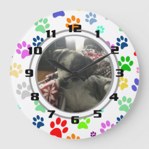 Relógio Grande Pó de Pet Bonito e Divertido Padrão na sua foto