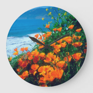 Relógio Grande Poppies ao longo da costa do Pacífico perto de Big
