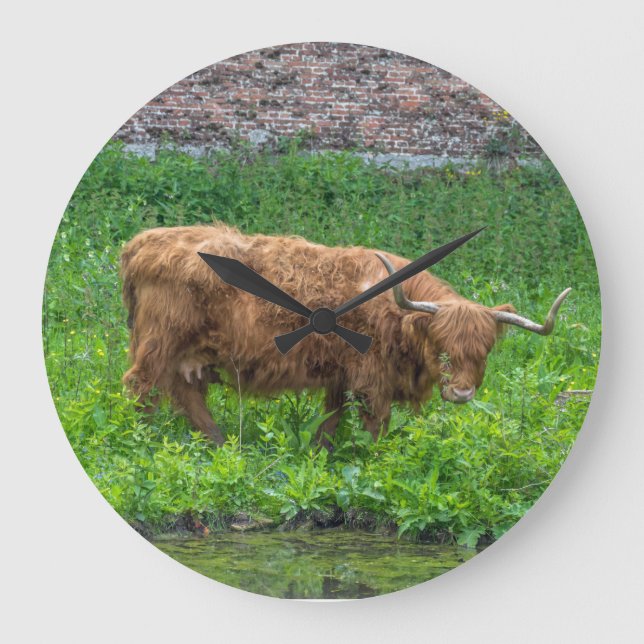 Relógio Grande Pulso de disparo de parede da vaca das montanhas (Frente)