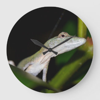 Relógio Grande Pulso de disparo do occultus do Anolis